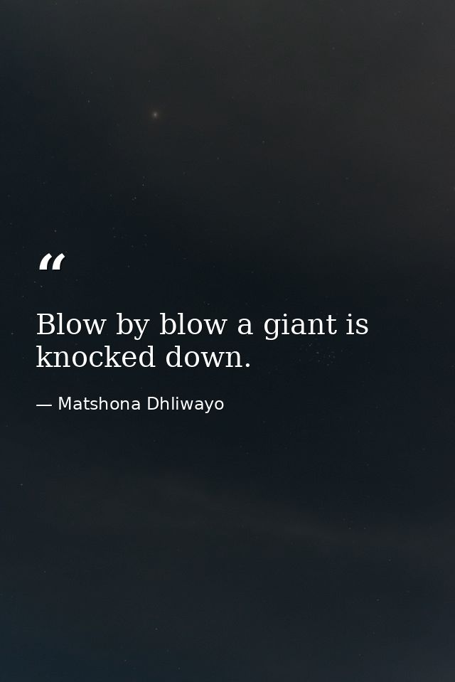 Blow by blow a giant is knocked down. — Matshona Dhliwayo