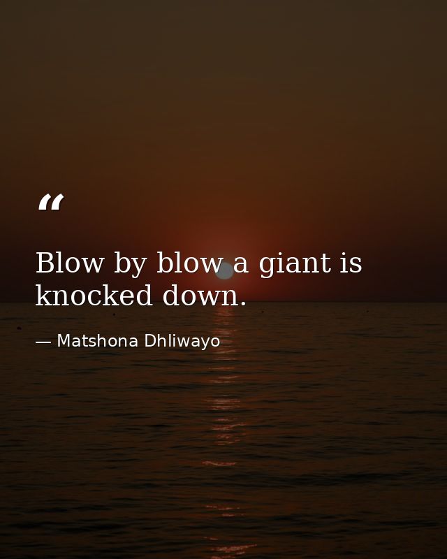 Blow by blow a giant is knocked down. — Matshona Dhliwayo