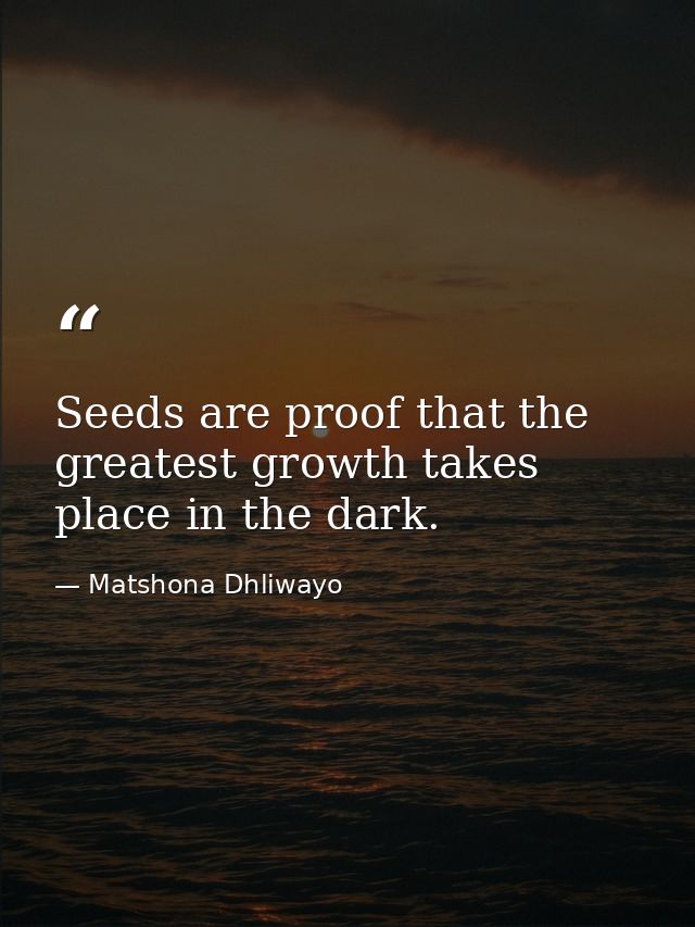 Seeds are proof that the greatest growth takes place in the dark. — Matshona Dhliwayo