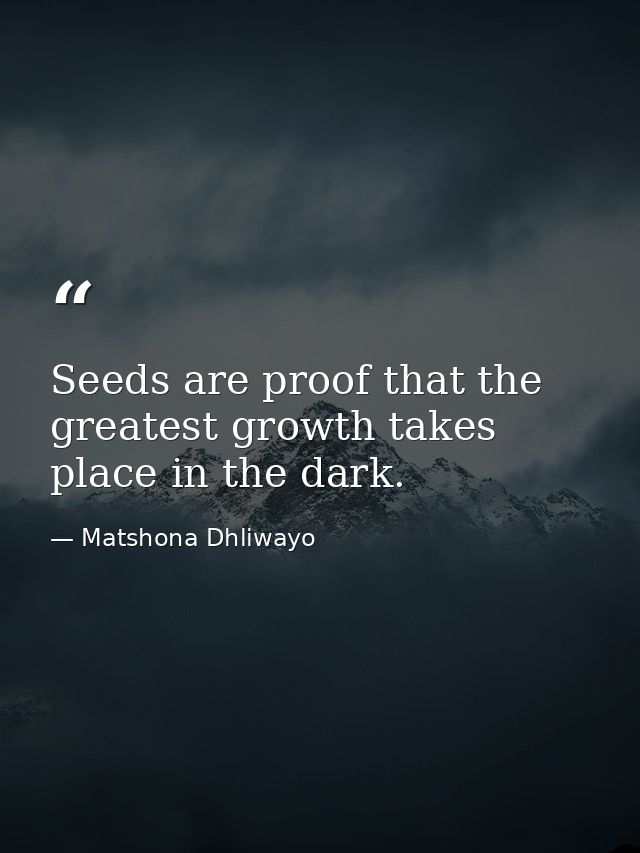 Seeds are proof that the greatest growth takes place in the dark. — Matshona Dhliwayo
