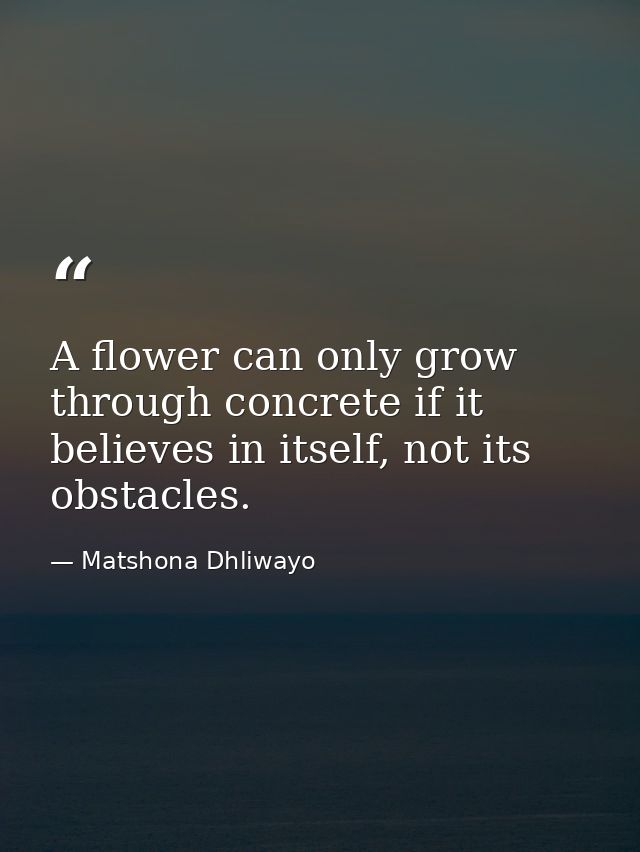 A flower can only grow through concrete if it believes in itself, not its obstacles. — Matshona Dhliwayo