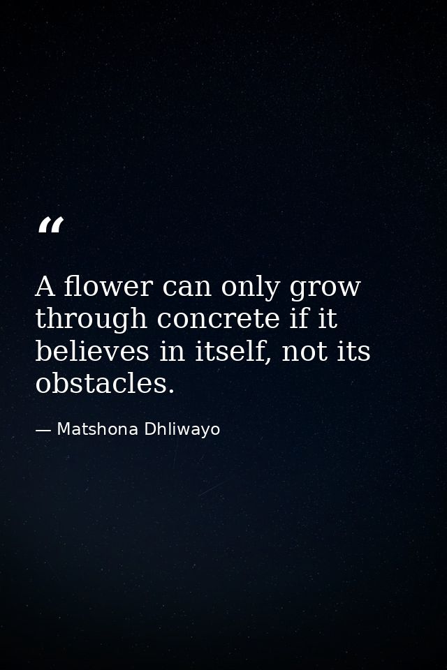 A flower can only grow through concrete if it believes in itself, not its obstacles. — Matshona Dhliwayo