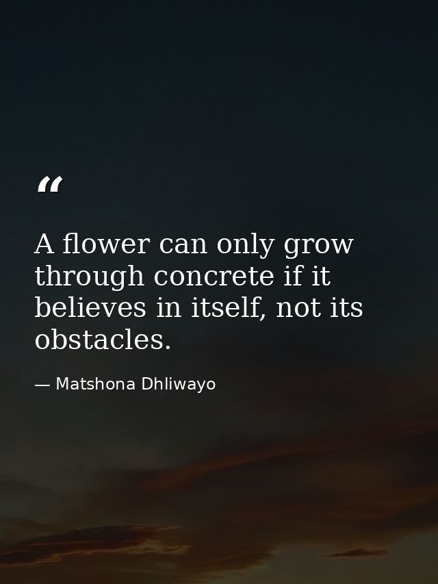 A flower can only grow through concrete if it believes in itself, not its obstacles. — Matshona Dhliwayo