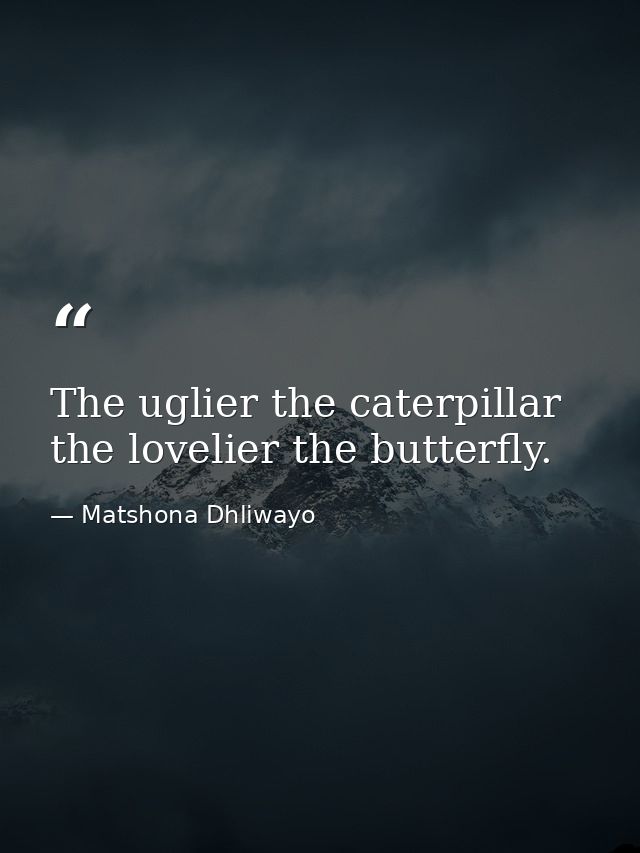 The uglier the caterpillar the lovelier the butterfly. — Matshona Dhliwayo