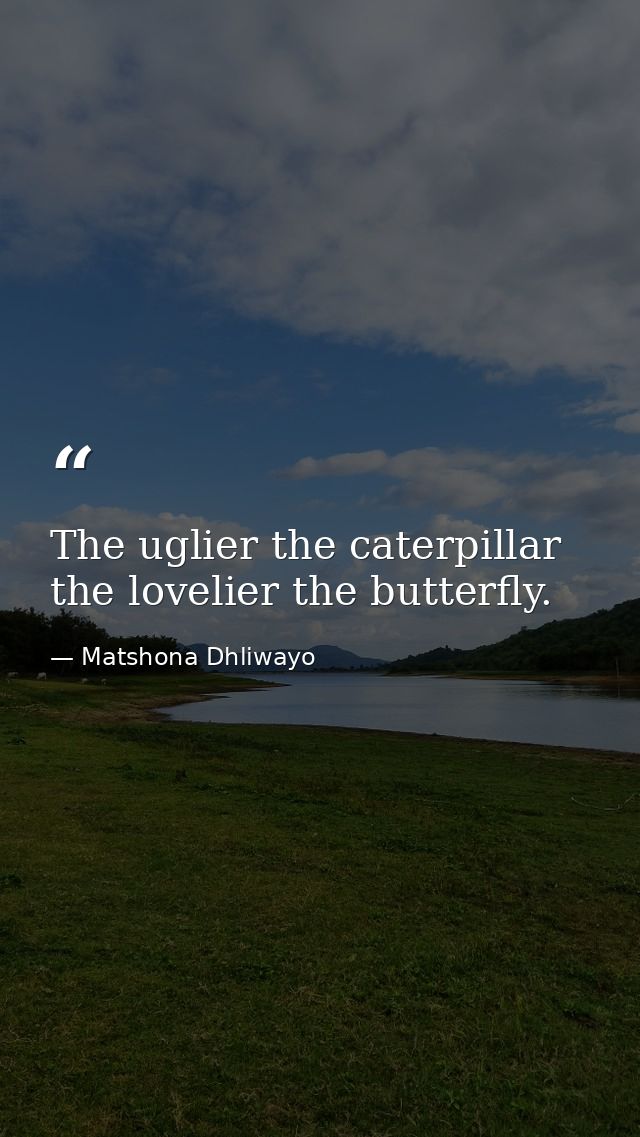 The uglier the caterpillar the lovelier the butterfly. — Matshona Dhliwayo