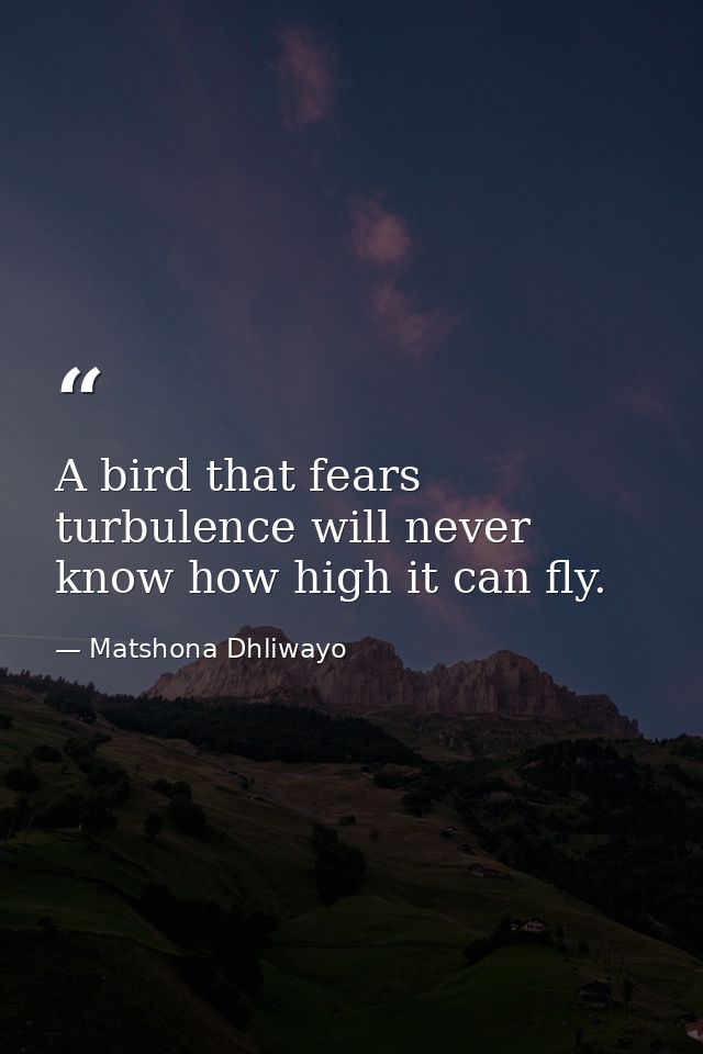 A bird that fears turbulence will never know how high it can fly. — Matshona Dhliwayo