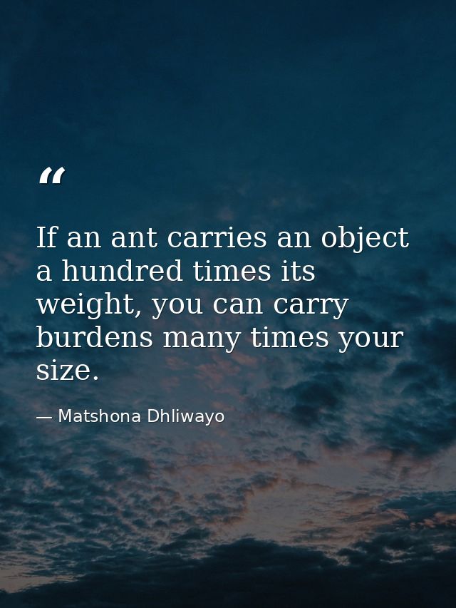 If an ant carries an object a hundred times its weight, you can carry burdens many times your size. — Matshona Dhliwayo