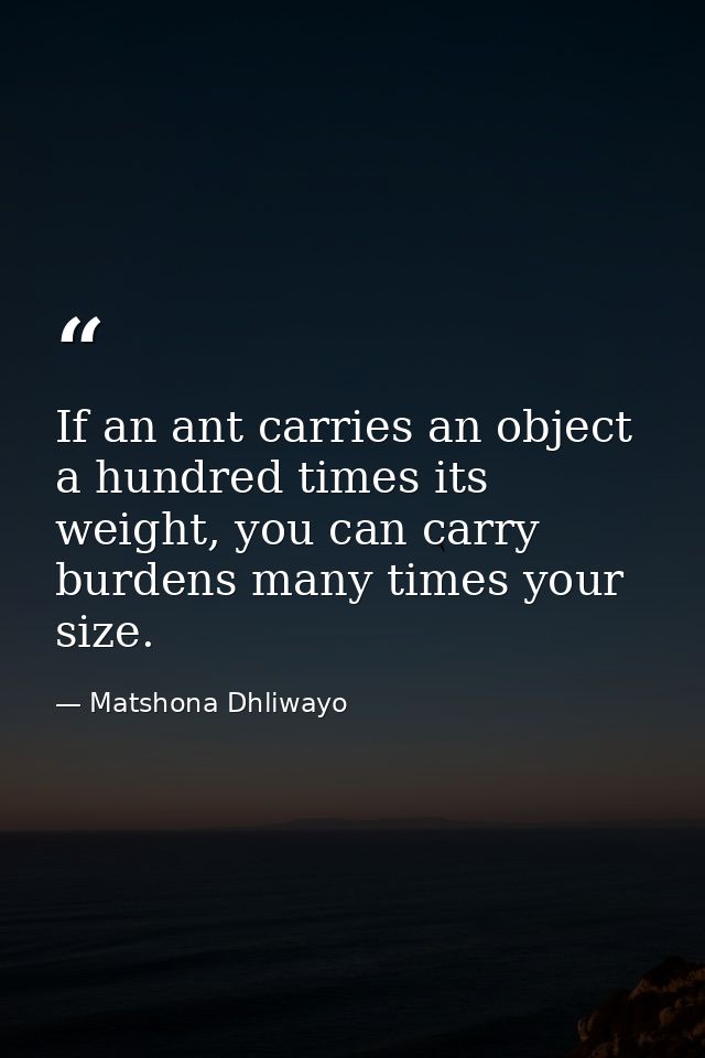 If an ant carries an object a hundred times its weight, you can carry burdens many times your size. — Matshona Dhliwayo