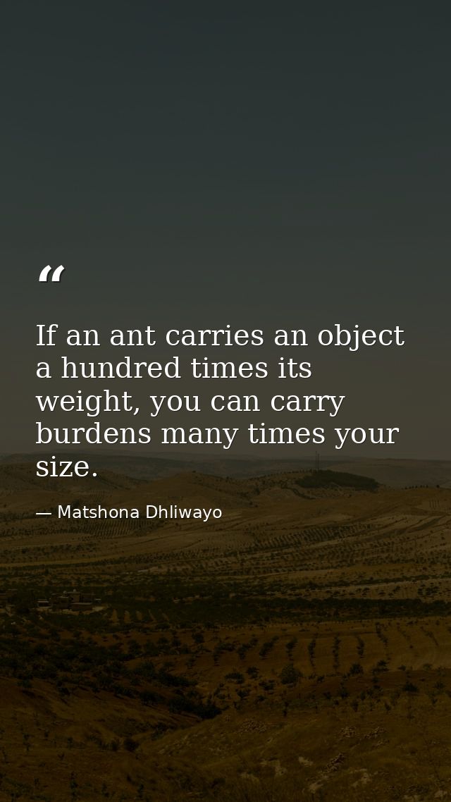 If an ant carries an object a hundred times its weight, you can carry burdens many times your size. — Matshona Dhliwayo