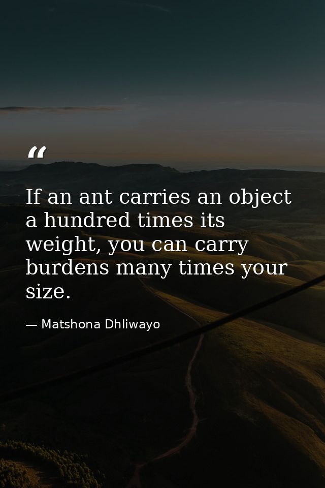 If an ant carries an object a hundred times its weight, you can carry burdens many times your size. — Matshona Dhliwayo