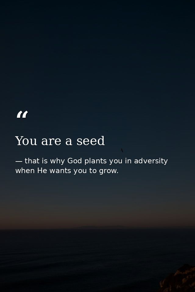 You are a seed — that is why God plants you in adversity when He wants you to grow.