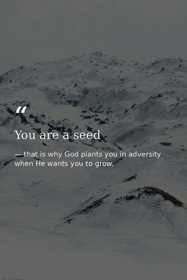 You are a seed — that is why God plants you in adversity when He wants you to grow.