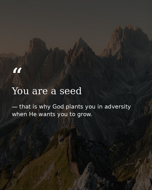 You are a seed — that is why God plants you in adversity when He wants you to grow.