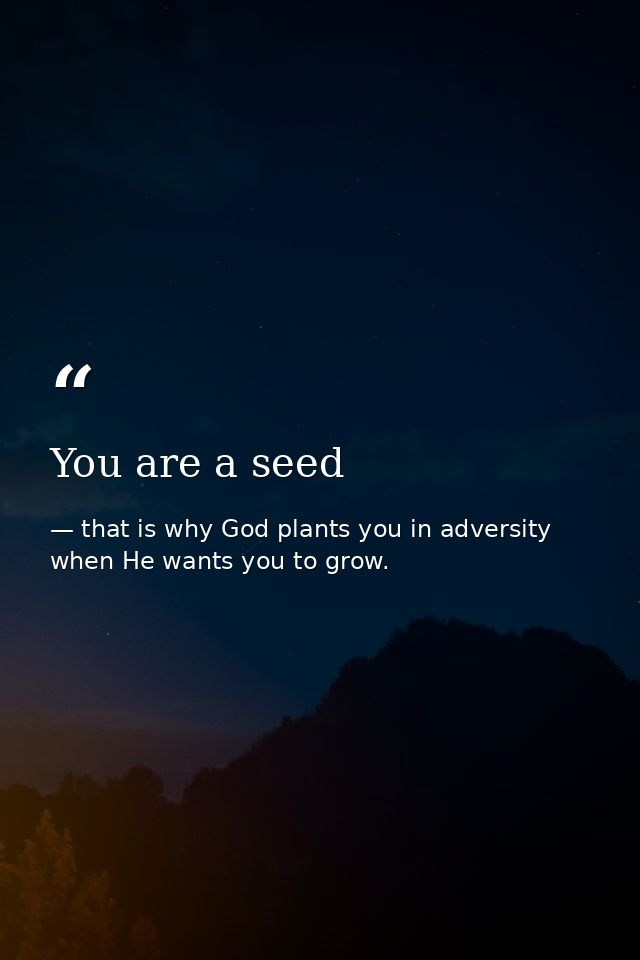 You are a seed — that is why God plants you in adversity when He wants you to grow.