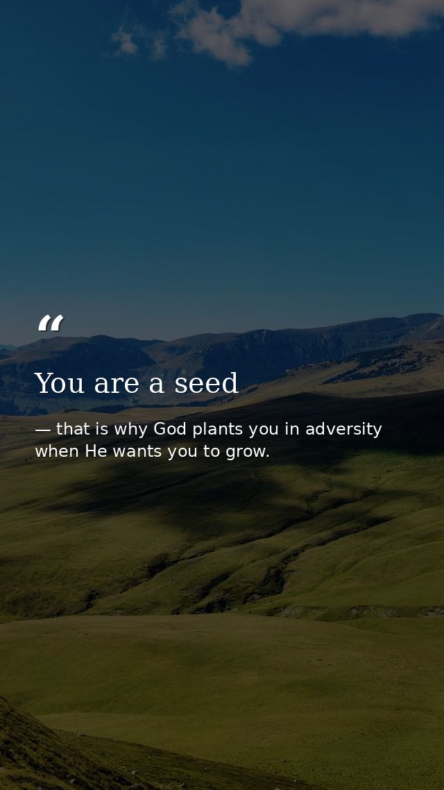 You are a seed — that is why God plants you in adversity when He wants you to grow.