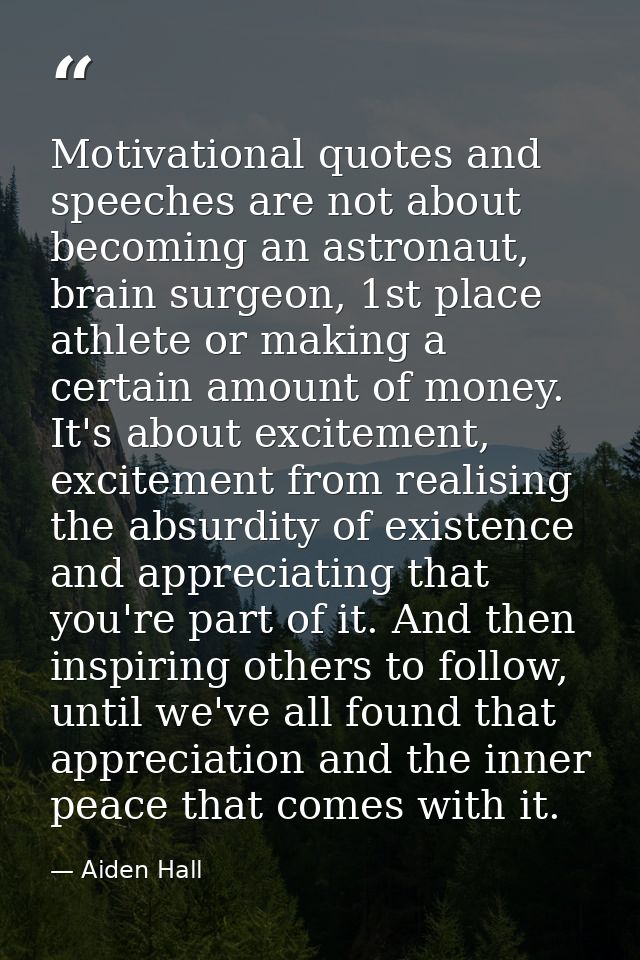 Motivational quotes and speeches are not about becoming an astronaut, brain surgeon, 1st place athlete or making a certa — Aiden Hall