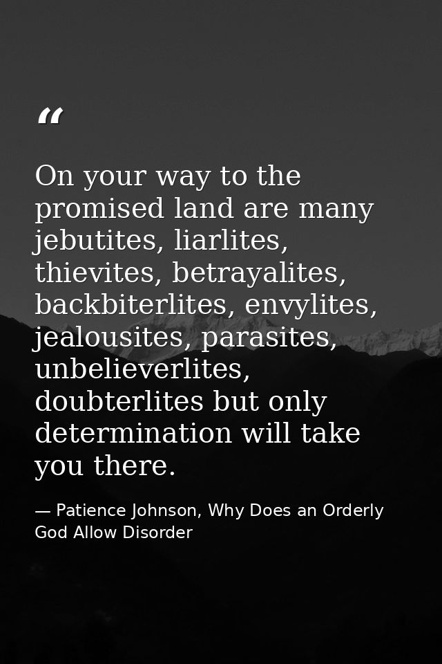On your way to the promised land are many jebutites, liarlites, thievites, betrayalites, backbiterlites, envylites, jeal — Patience Johnson, Why Does an Orderly God Allow Disorder