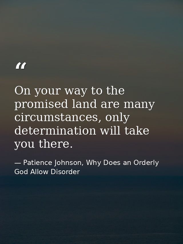 On your way to the promised land are many circumstances, only determination will take you there. — Patience Johnson, Why Does an Orderly God Allow Disorder