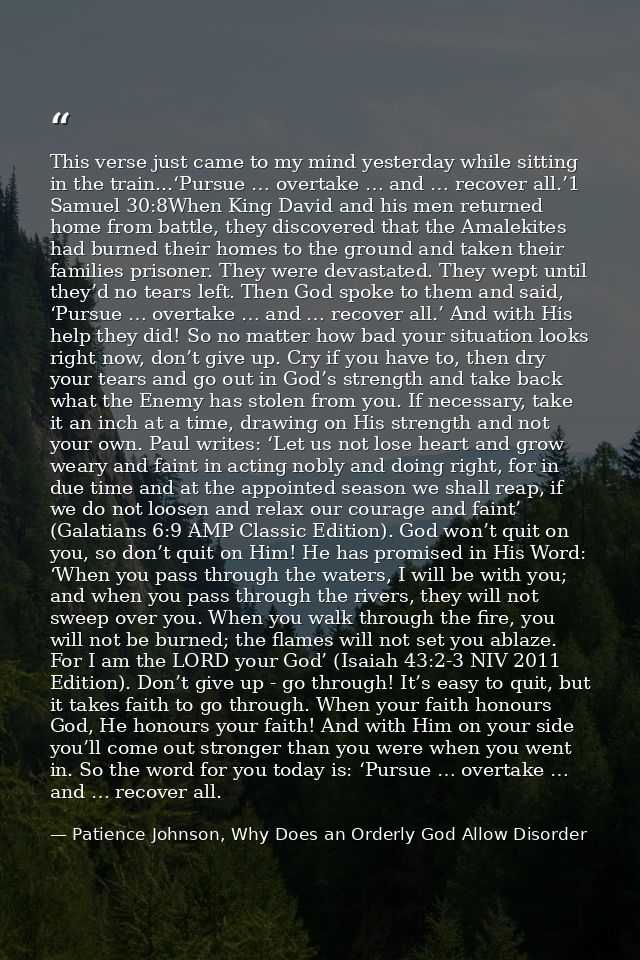 This verse just came to my mind yesterday while sitting in the train...‘Pursue … overtake … and … recover all.’1 Samuel  — Patience Johnson, Why Does an Orderly God Allow Disorder