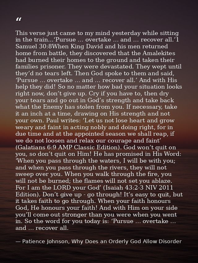 This verse just came to my mind yesterday while sitting in the train...‘Pursue … overtake … and … recover all.’1 Samuel  — Patience Johnson, Why Does an Orderly God Allow Disorder