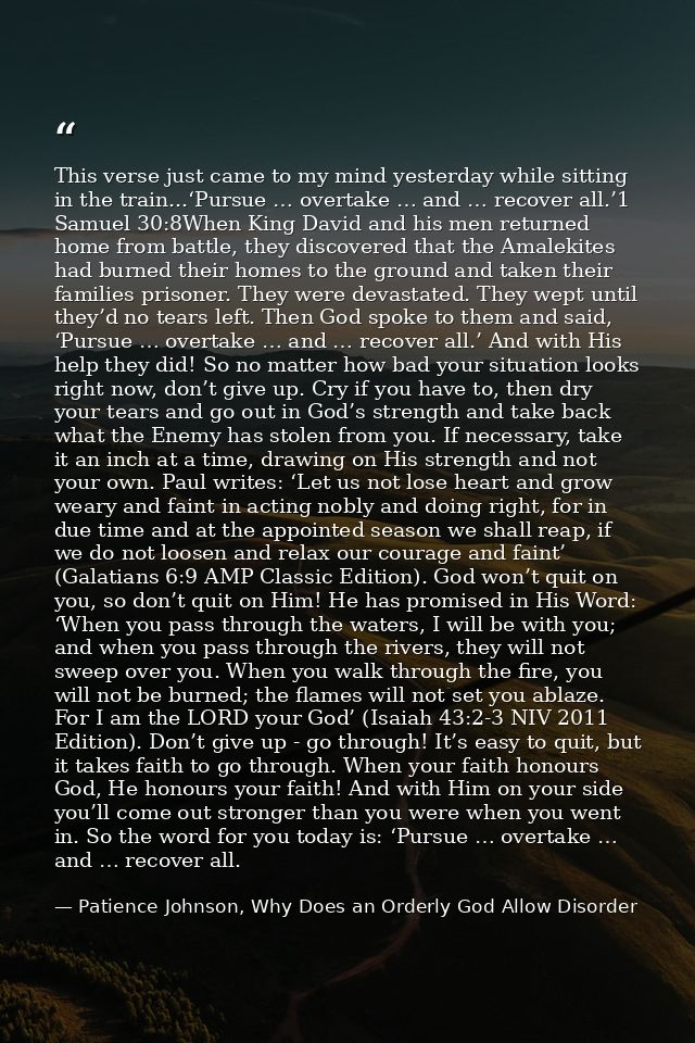 This verse just came to my mind yesterday while sitting in the train...‘Pursue … overtake … and … recover all.’1 Samuel  — Patience Johnson, Why Does an Orderly God Allow Disorder