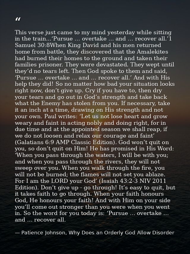 This verse just came to my mind yesterday while sitting in the train...‘Pursue … overtake … and … recover all.’1 Samuel  — Patience Johnson, Why Does an Orderly God Allow Disorder