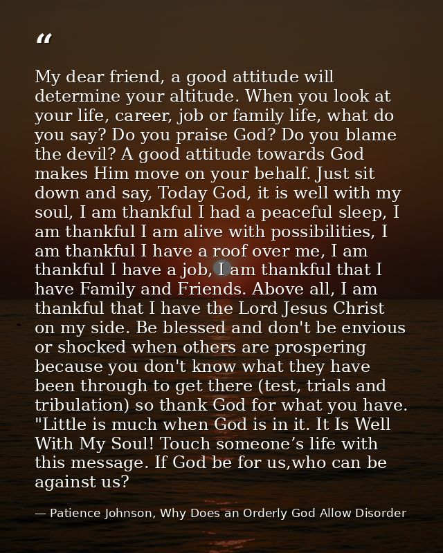 My dear friend, a good attitude will determine your altitude. When you look at your life, career, job or family life, wh — Patience Johnson, Why Does an Orderly God Allow Disorder