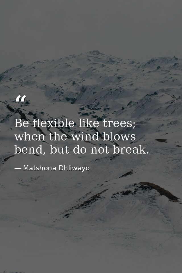 Be flexible like trees; when the wind blows bend, but do not break. — Matshona Dhliwayo