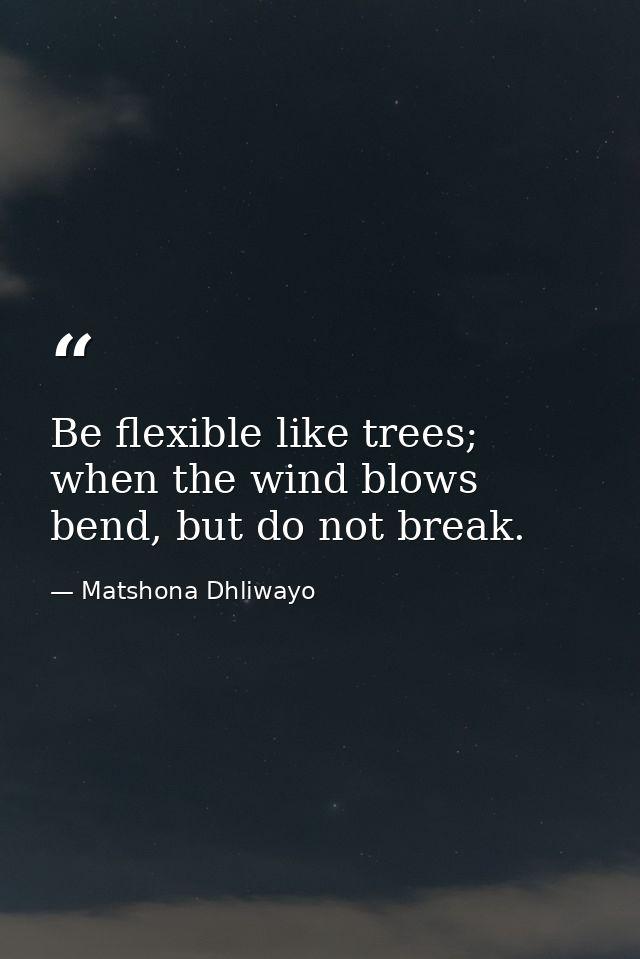 Be flexible like trees; when the wind blows bend, but do not break. — Matshona Dhliwayo