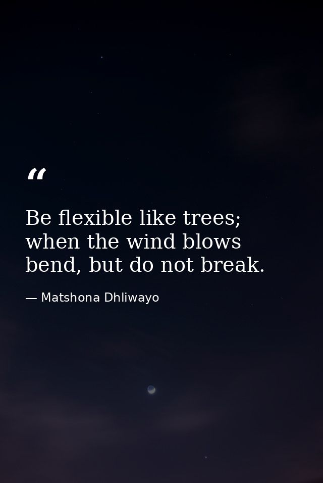 Be flexible like trees; when the wind blows bend, but do not break. — Matshona Dhliwayo