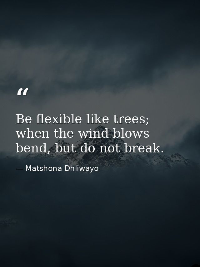 Be flexible like trees; when the wind blows bend, but do not break. — Matshona Dhliwayo