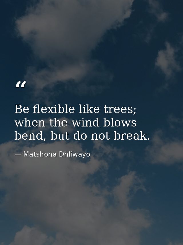 Be flexible like trees; when the wind blows bend, but do not break. — Matshona Dhliwayo