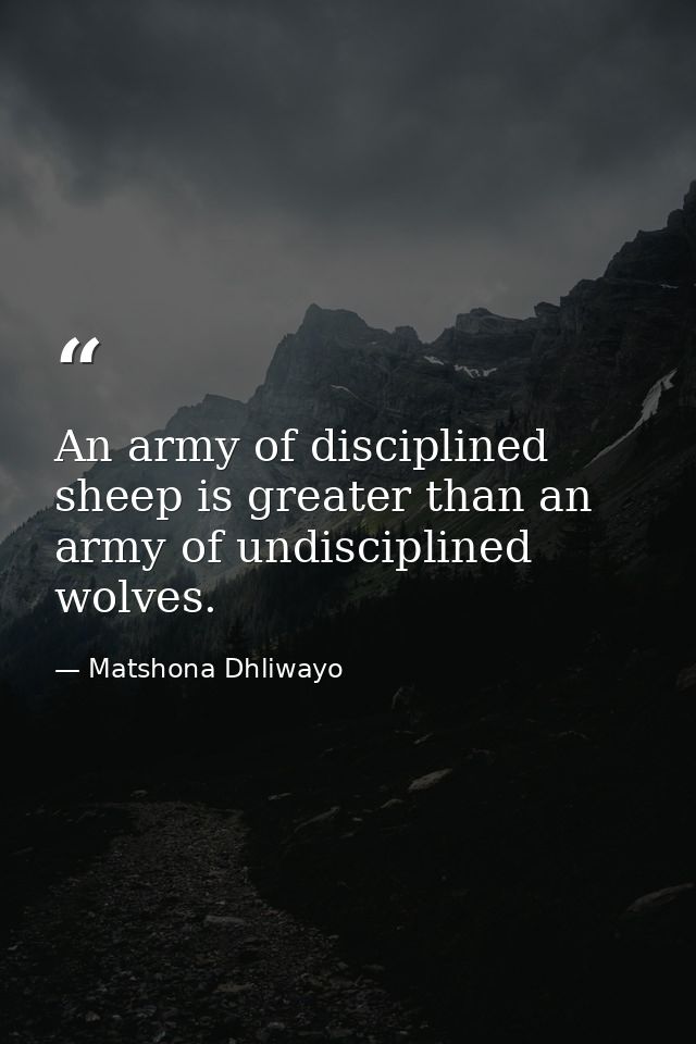 An army of disciplined sheep is greater than an army of undisciplined wolves. — Matshona Dhliwayo