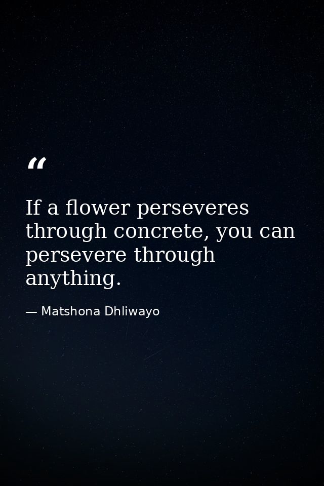 If a flower perseveres through concrete, you can persevere through anything. — Matshona Dhliwayo