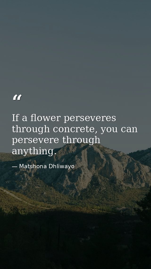 If a flower perseveres through concrete, you can persevere through anything. — Matshona Dhliwayo