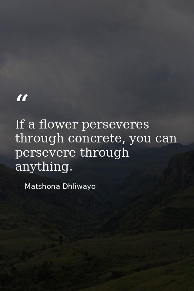 If a flower perseveres through concrete, you can persevere through anything. — Matshona Dhliwayo