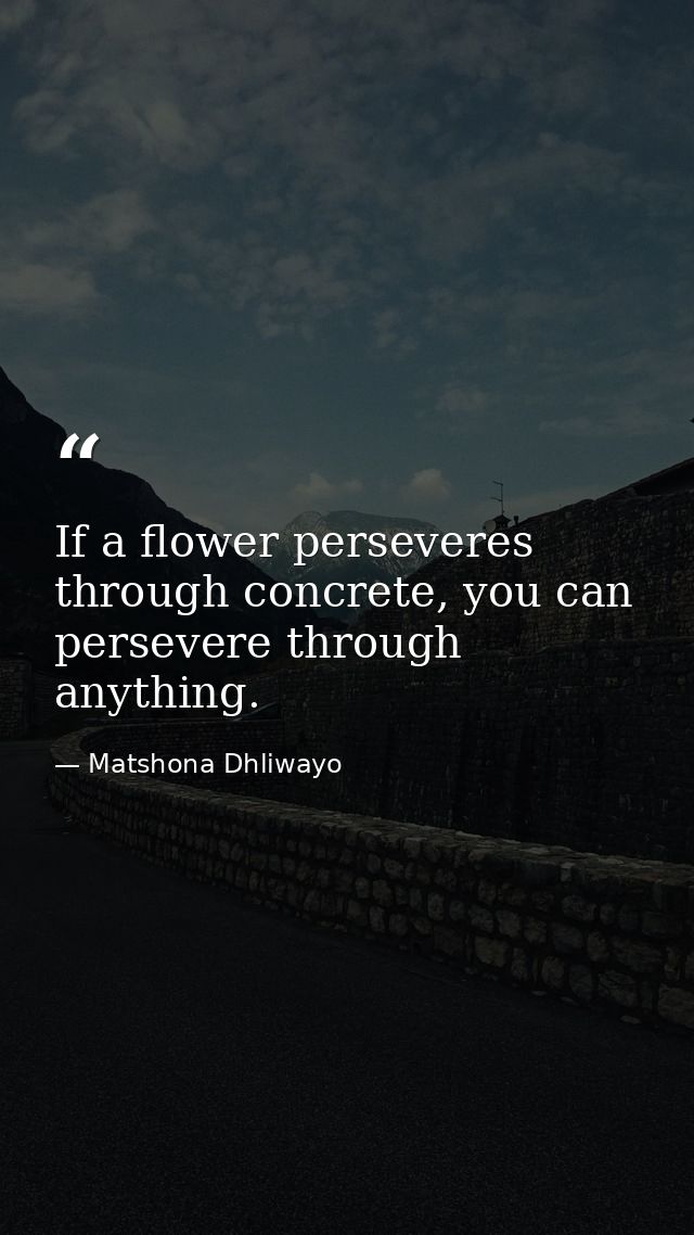If a flower perseveres through concrete, you can persevere through anything. — Matshona Dhliwayo