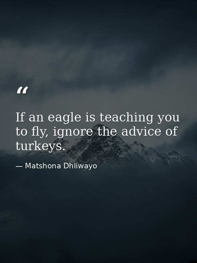 If an eagle is teaching you to fly, ignore the advice of turkeys. — Matshona Dhliwayo