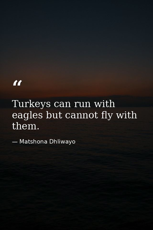 Turkeys can run with eagles but cannot fly with them. — Matshona Dhliwayo