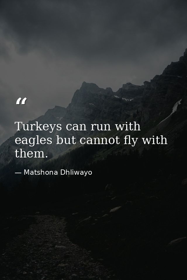 Turkeys can run with eagles but cannot fly with them. — Matshona Dhliwayo