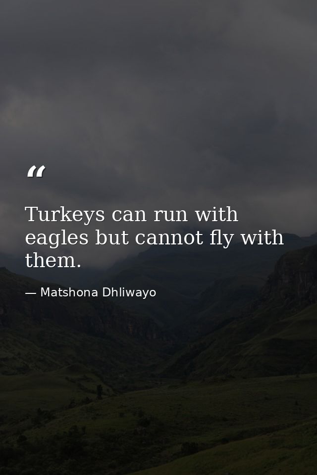 Turkeys can run with eagles but cannot fly with them. — Matshona Dhliwayo