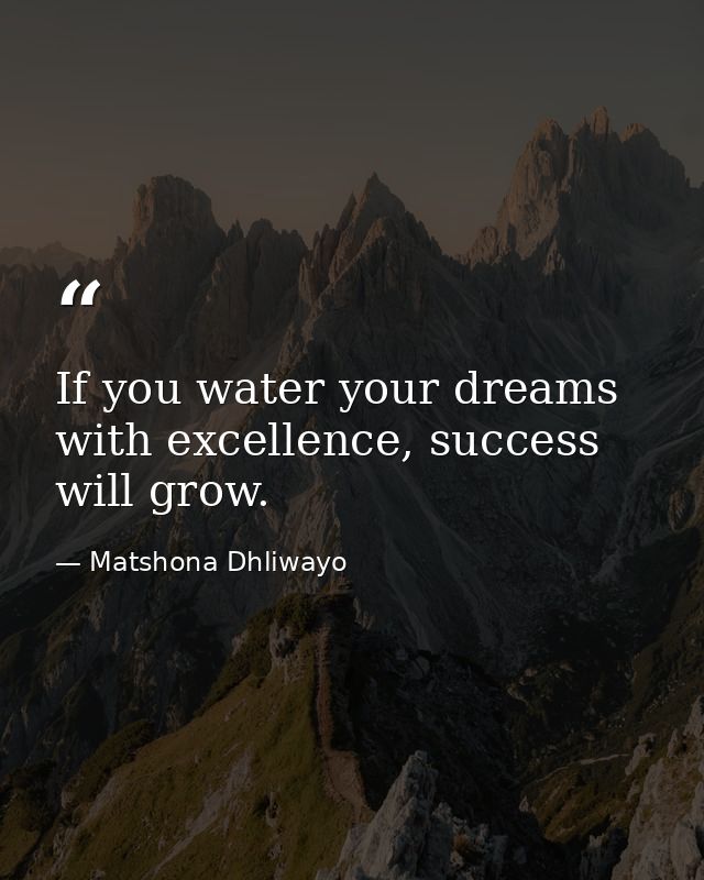 If you water your dreams with excellence, success will grow. — Matshona Dhliwayo