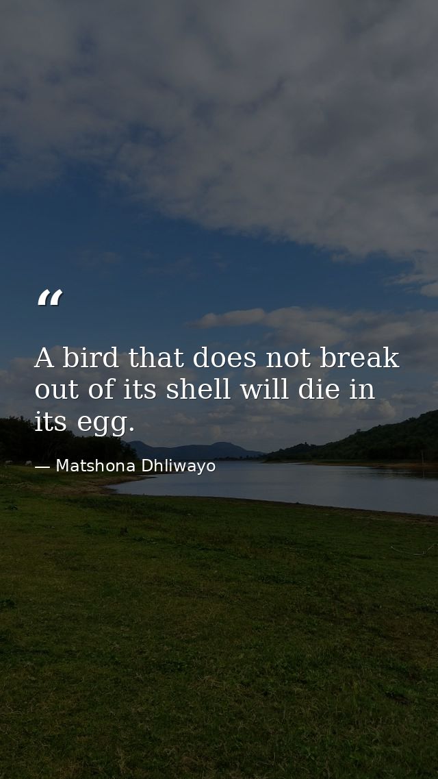 A bird that does not break out of its shell will die in its egg. — Matshona Dhliwayo