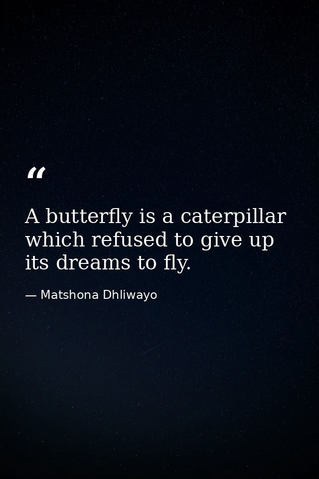 A butterfly is a caterpillar which refused to give up its dreams to fly. — Matshona Dhliwayo