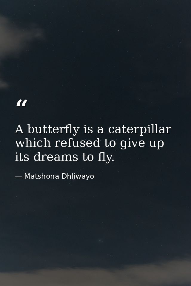 A butterfly is a caterpillar which refused to give up its dreams to fly. — Matshona Dhliwayo