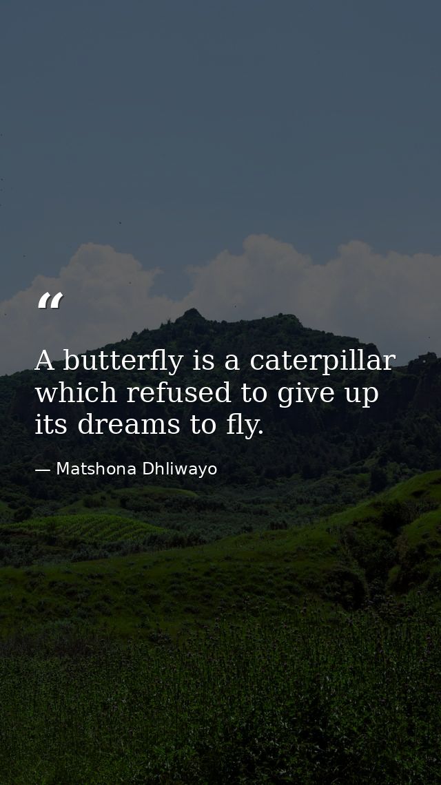 A butterfly is a caterpillar which refused to give up its dreams to fly. — Matshona Dhliwayo