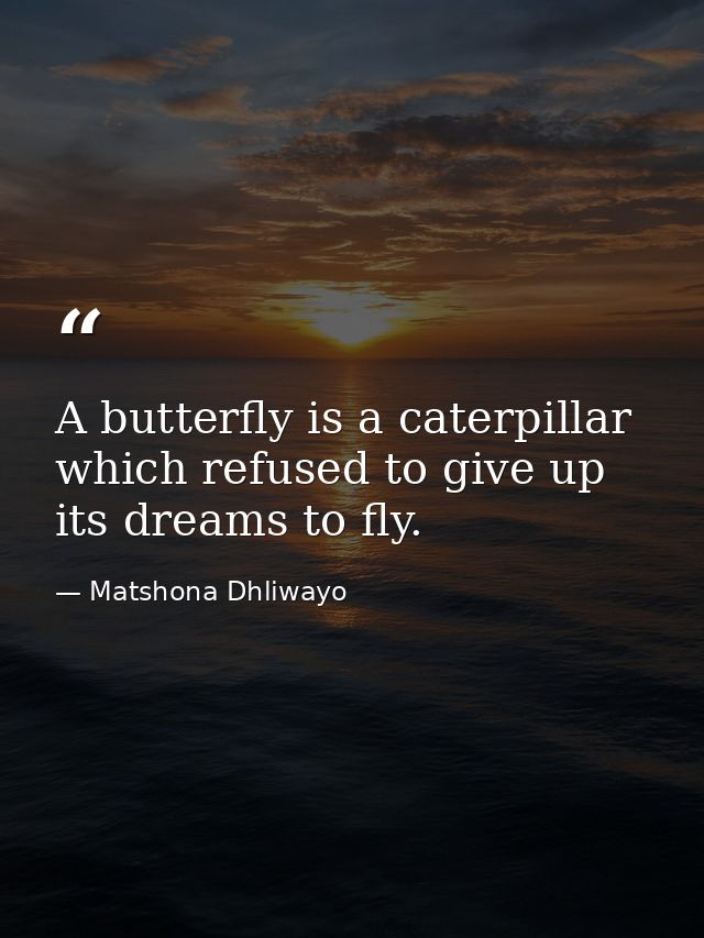 A butterfly is a caterpillar which refused to give up its dreams to fly. — Matshona Dhliwayo