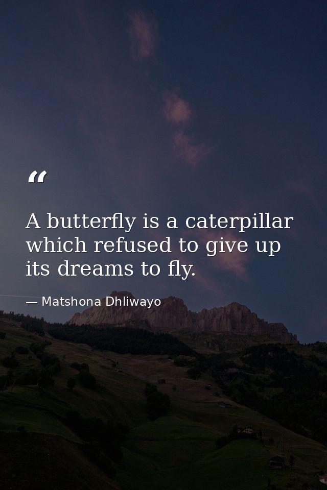 A butterfly is a caterpillar which refused to give up its dreams to fly. — Matshona Dhliwayo