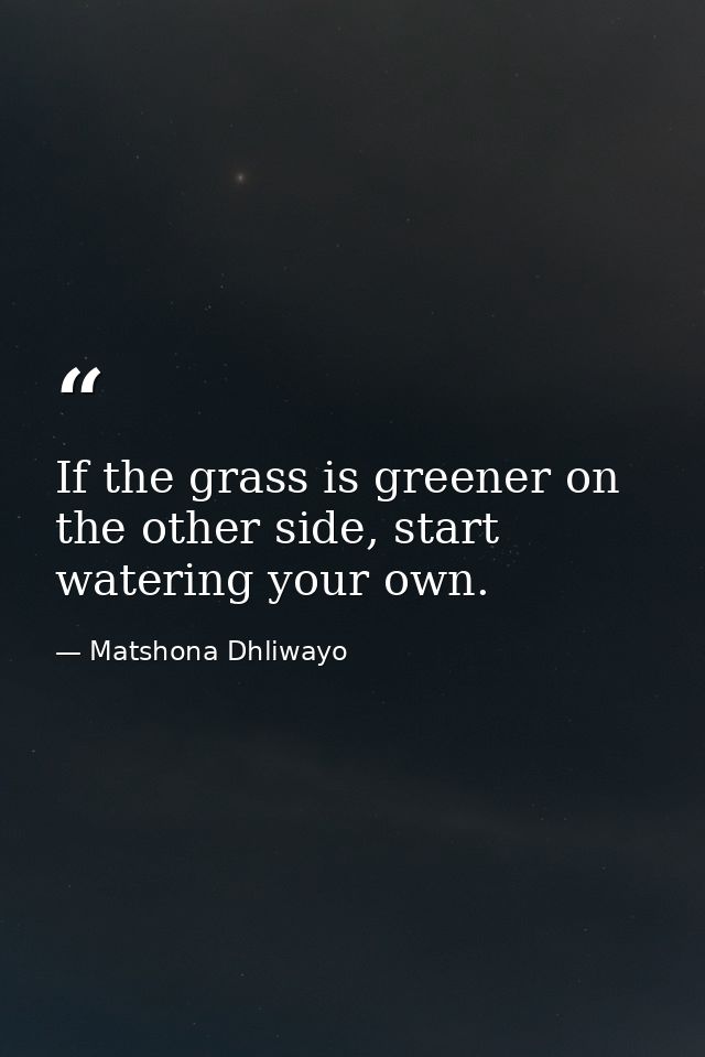 If the grass is greener on the other side, start watering your own. — Matshona Dhliwayo