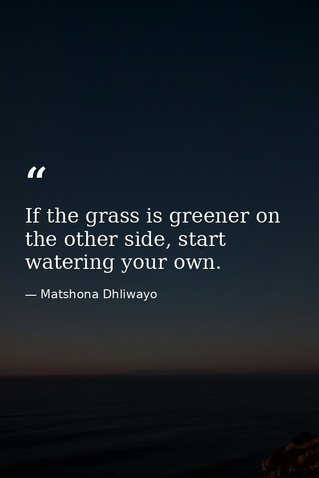 If the grass is greener on the other side, start watering your own. — Matshona Dhliwayo